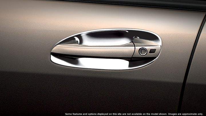 Chrome door handle inserts